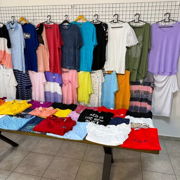 Жіночі футболки та туніки XXL секонд хенд оптом: подовжені футболки, моделі вільного крою, базові фасони та літні принти