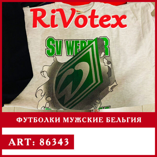 Футболки секонд хенд мужские T-shirts Ривотекс оптом